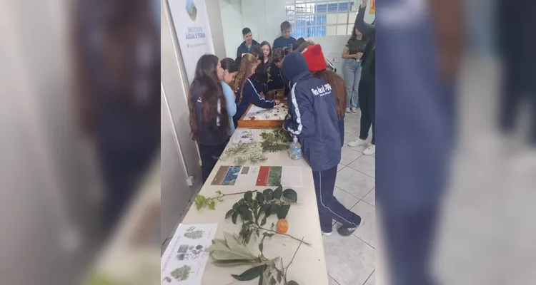 Veja os registros do amplo trabalho dentro e fora da sala de aula.