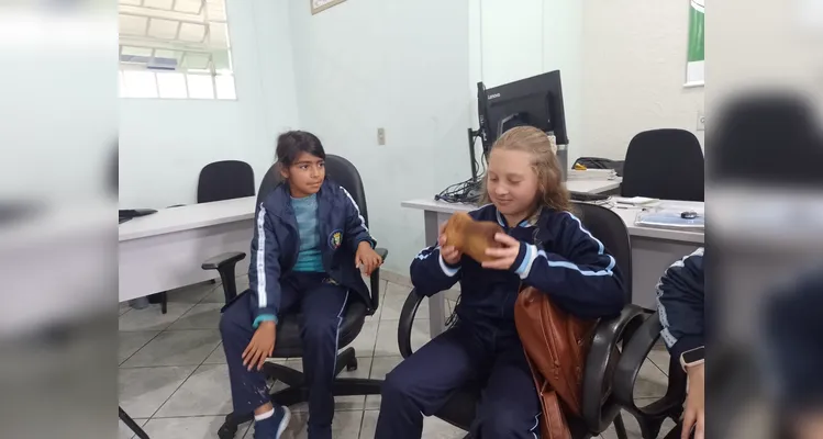 Veja os registros do amplo trabalho dentro e fora da sala de aula.