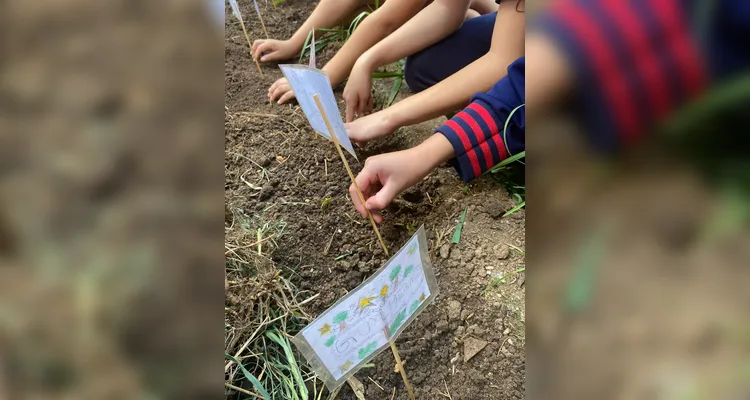Proposta contou com diversificado trabalho dentro e fora da sala de aula; confira os registros.