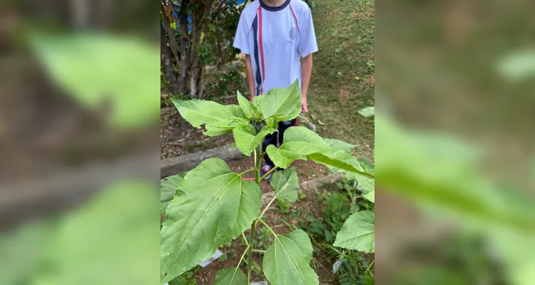 Proposta contou com diversificado trabalho dentro e fora da sala de aula; confira os registros.
