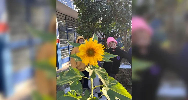 Proposta contou com diversificado trabalho dentro e fora da sala de aula; confira os registros.