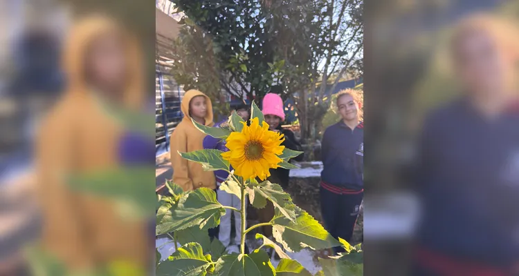 Proposta contou com diversificado trabalho dentro e fora da sala de aula; confira os registros.