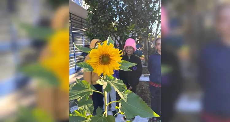 Proposta contou com diversificado trabalho dentro e fora da sala de aula; confira os registros.