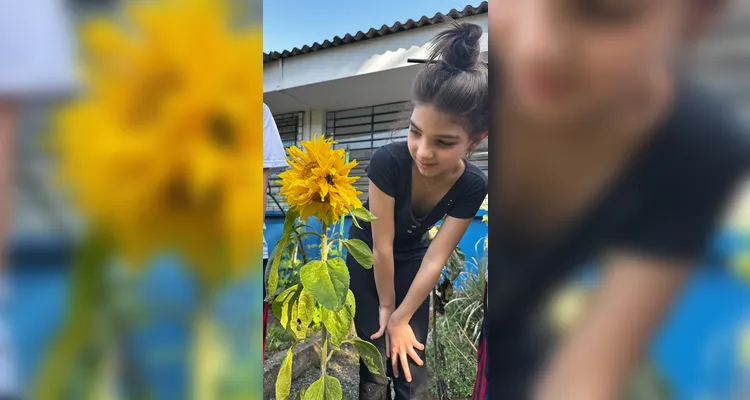 Proposta contou com diversificado trabalho dentro e fora da sala de aula; confira os registros.