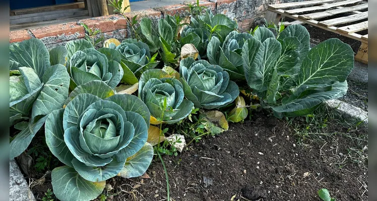 Proposta contou com diversificado trabalho dentro e fora da sala de aula; confira os registros.