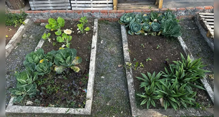 Proposta contou com diversificado trabalho dentro e fora da sala de aula; confira os registros.