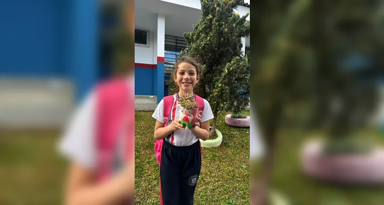 Proposta contou com diversificado trabalho dentro e fora da sala de aula; confira os registros.