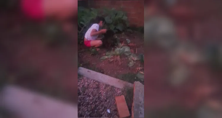 Estudantes fizeram registros do amplo trabalho ambiental.