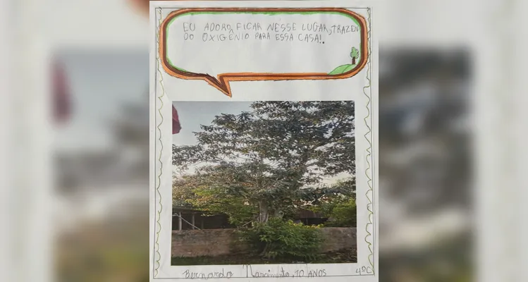 Confira o amplo, dinâmico e artístico trabalho dos estudantes.