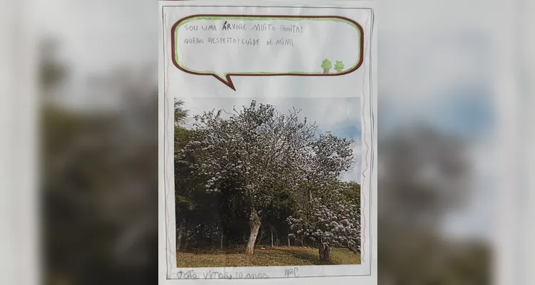 Confira o amplo, dinâmico e artístico trabalho dos estudantes.