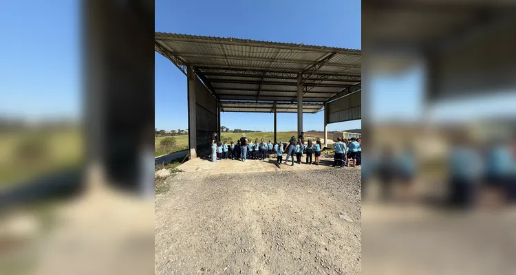 Veja os registros do diversificado e amplo trabalho dos educandos.