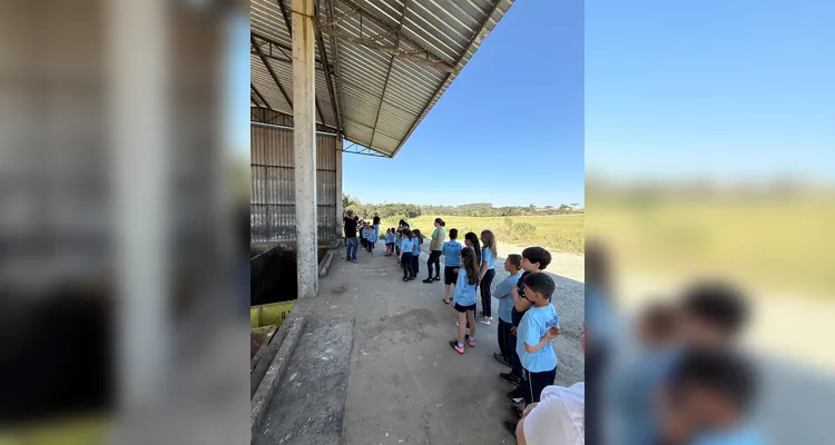 Veja os registros do diversificado e amplo trabalho dos educandos.