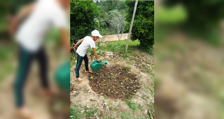 Confira o amplo trabalho ambiental dentro e fora da sala de aula.