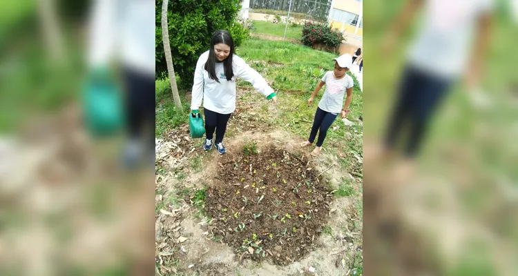 Confira o amplo trabalho ambiental dentro e fora da sala de aula.