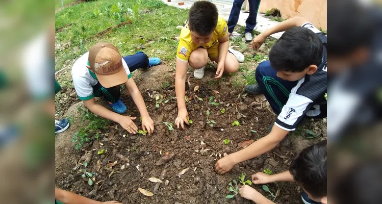Confira o amplo trabalho ambiental dentro e fora da sala de aula.