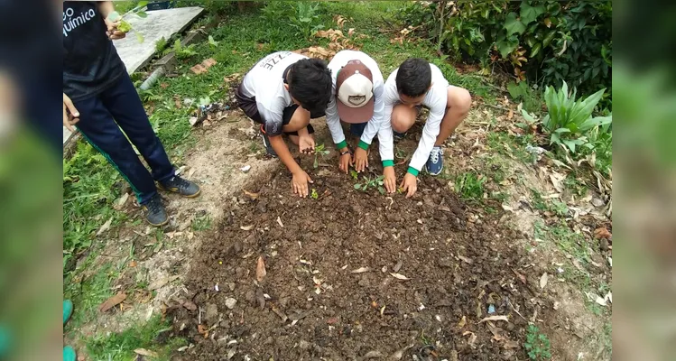 Confira o amplo trabalho ambiental dentro e fora da sala de aula.