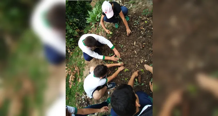 Confira o amplo trabalho ambiental dentro e fora da sala de aula.
