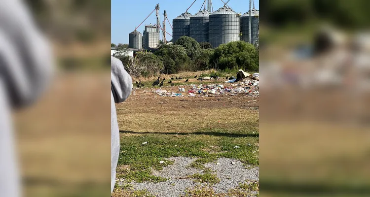 Veja os registros da saída a campo da turma.