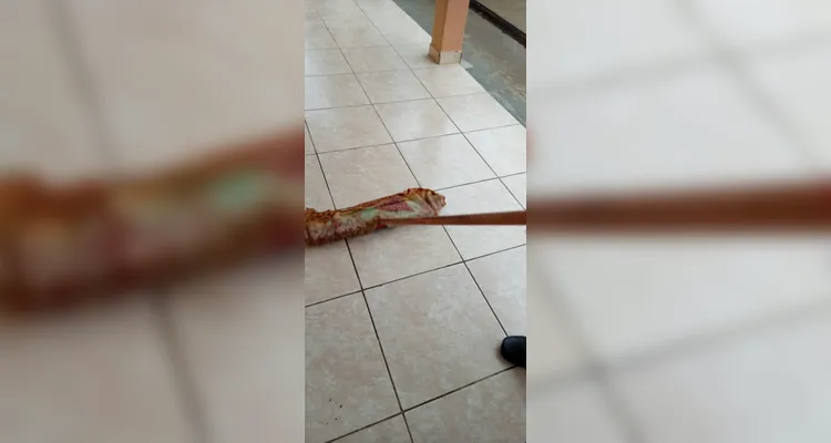 Proposta teve amplitude dentro e fora da sala de aula.