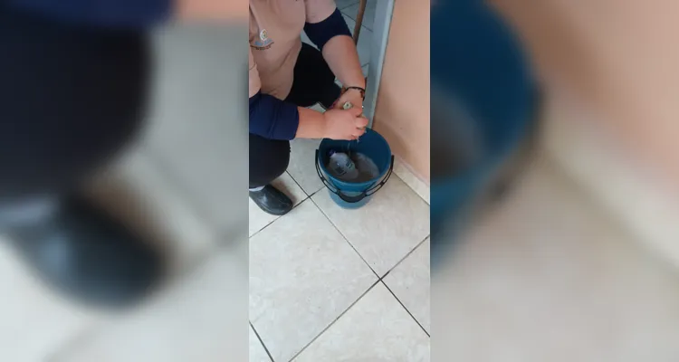 Proposta teve amplitude dentro e fora da sala de aula.