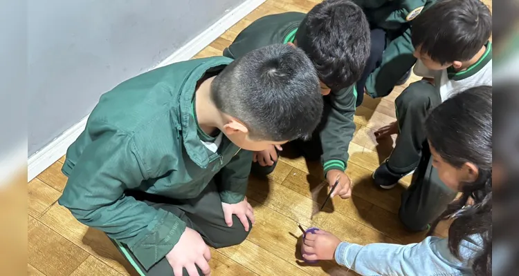 Diversos momentos trouxeram imersão na temática ambiental em sala de aula.
