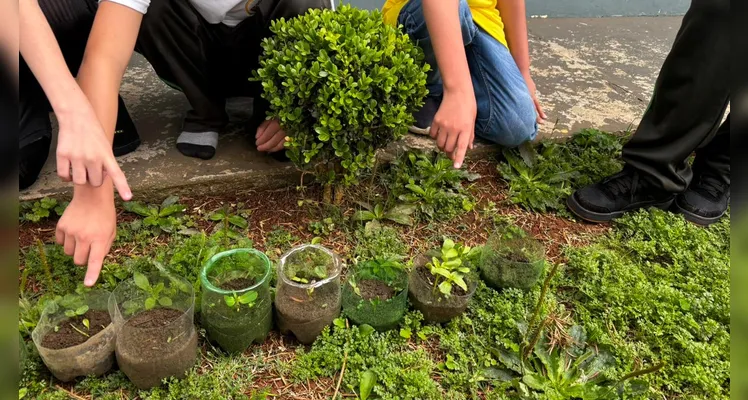 Diversos momentos trouxeram imersão na temática ambiental em sala de aula.