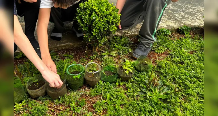 Diversos momentos trouxeram imersão na temática ambiental em sala de aula.