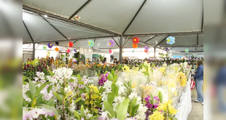 Expo&Flor começa nesta sexta com expectativa de 40 mil visitantes