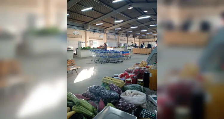 Confira registros do trabalho em sala, da Feira do Produtor e das refeições saudáveis dos alunos em casa.