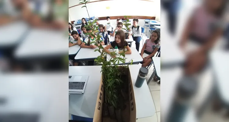 Confira como foi o trabalho dentro e fora da sala de aula.