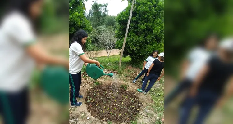 Confira o amplo trabalho ambiental dentro e fora da sala de aula.
