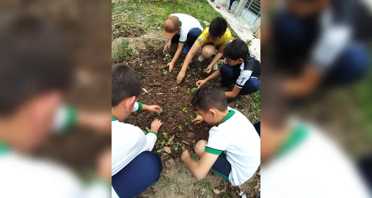 Confira o amplo trabalho ambiental dentro e fora da sala de aula.