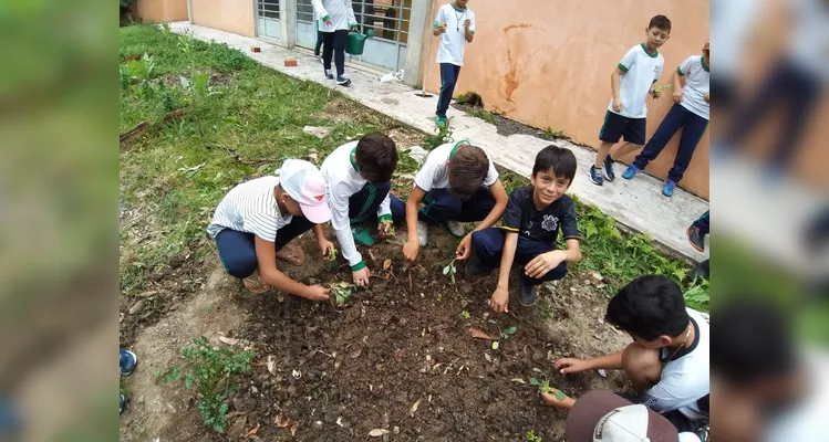 Confira o amplo trabalho ambiental dentro e fora da sala de aula.