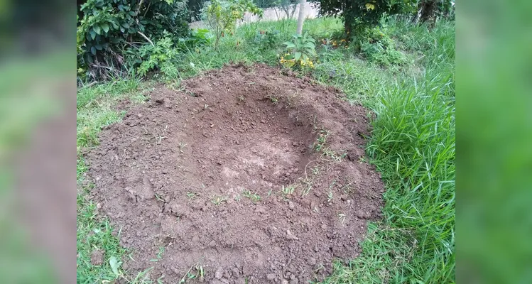 Confira o amplo trabalho ambiental dentro e fora da sala de aula.