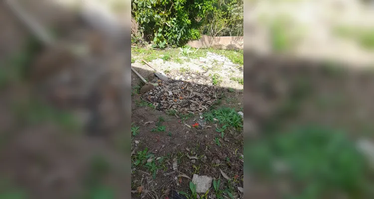 Confira o amplo trabalho ambiental dentro e fora da sala de aula.
