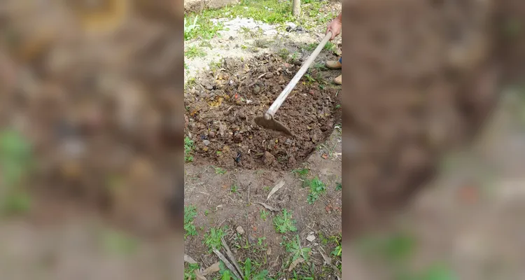 Confira o amplo trabalho ambiental dentro e fora da sala de aula.