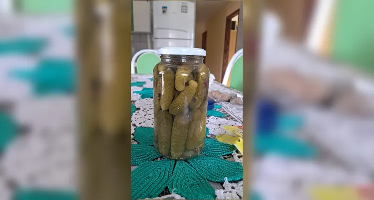 Confira os registros das conservas registradas pelo aluno e como foi o trabalho em sala de aula.