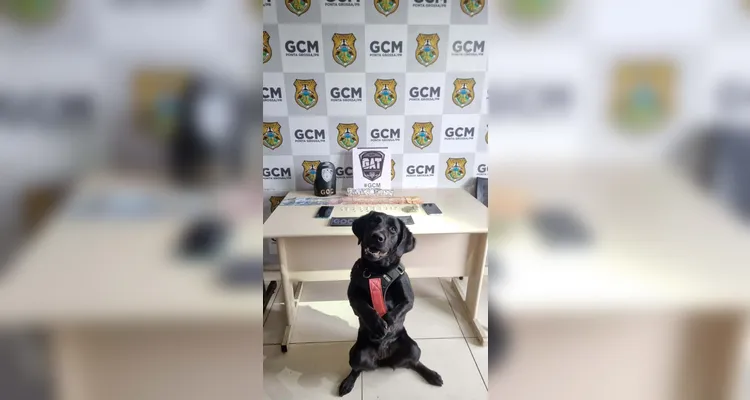 Mulher assume esconder maconha, mas equipe encontra crack em residência em PG