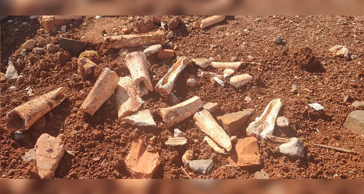 Fotos revelam detalhes de ossada encontrada em Ponta Grossa
