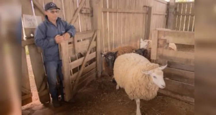 Fazenda Escola e Curso de Zootecnia ganham premiação por tratamento com ovinos