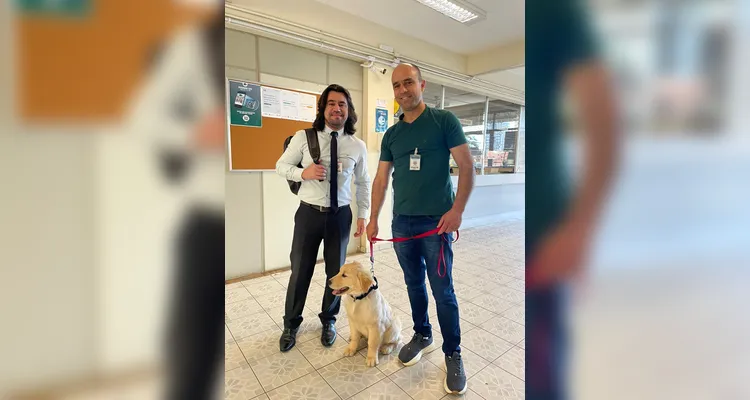 Ponta Grossa recebe 'Projeto Teddy', o 1º Cão de Assistência Judiciária