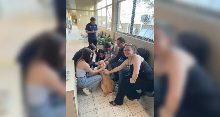 Ponta Grossa recebe 'Projeto Teddy', o 1º Cão de Assistência Judiciária