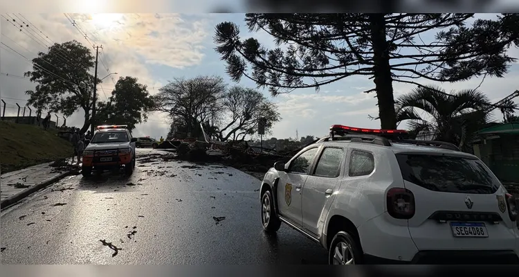 Fotos revelam destruição de teto de ginásio em escola de PG