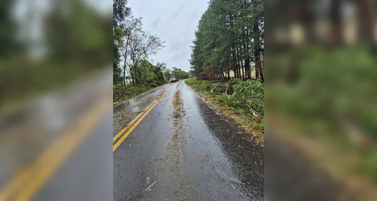 Fortes chuvas causam estragos em Tibagi e distritos do município; veja fotos