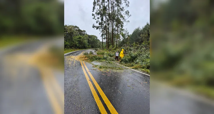 Fortes chuvas causam estragos em Tibagi e distritos do município; veja fotos