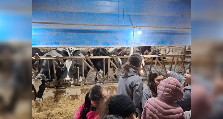 A proposta possibilitou a turma vivenciar uma rica experiência pedagógica.