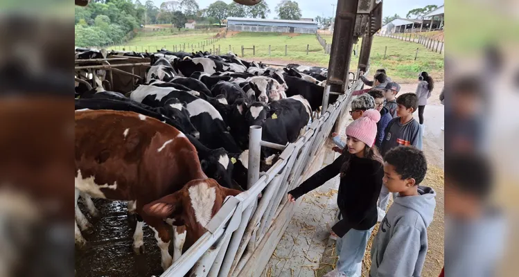 A proposta possibilitou a turma vivenciar uma rica experiência pedagógica.