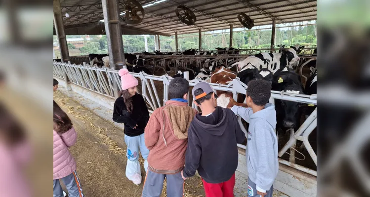 A proposta possibilitou a turma vivenciar uma rica experiência pedagógica.