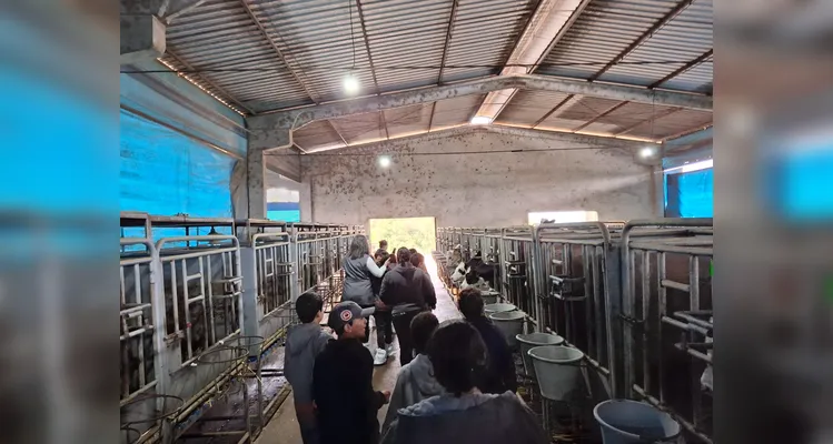 A proposta possibilitou a turma vivenciar uma rica experiência pedagógica.