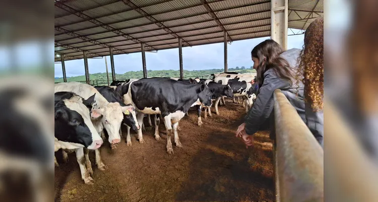 A proposta possibilitou a turma vivenciar uma rica experiência pedagógica.
